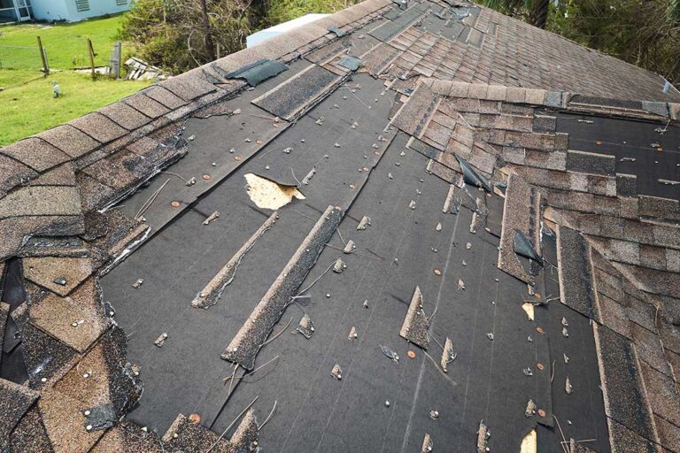 Homeowner reviewing roof warranty papers beside a window while roof shingles are visible outside.