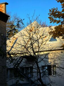 A fallen tree limb rests across damaged shingles beside a clogged gutter on a residential roof.